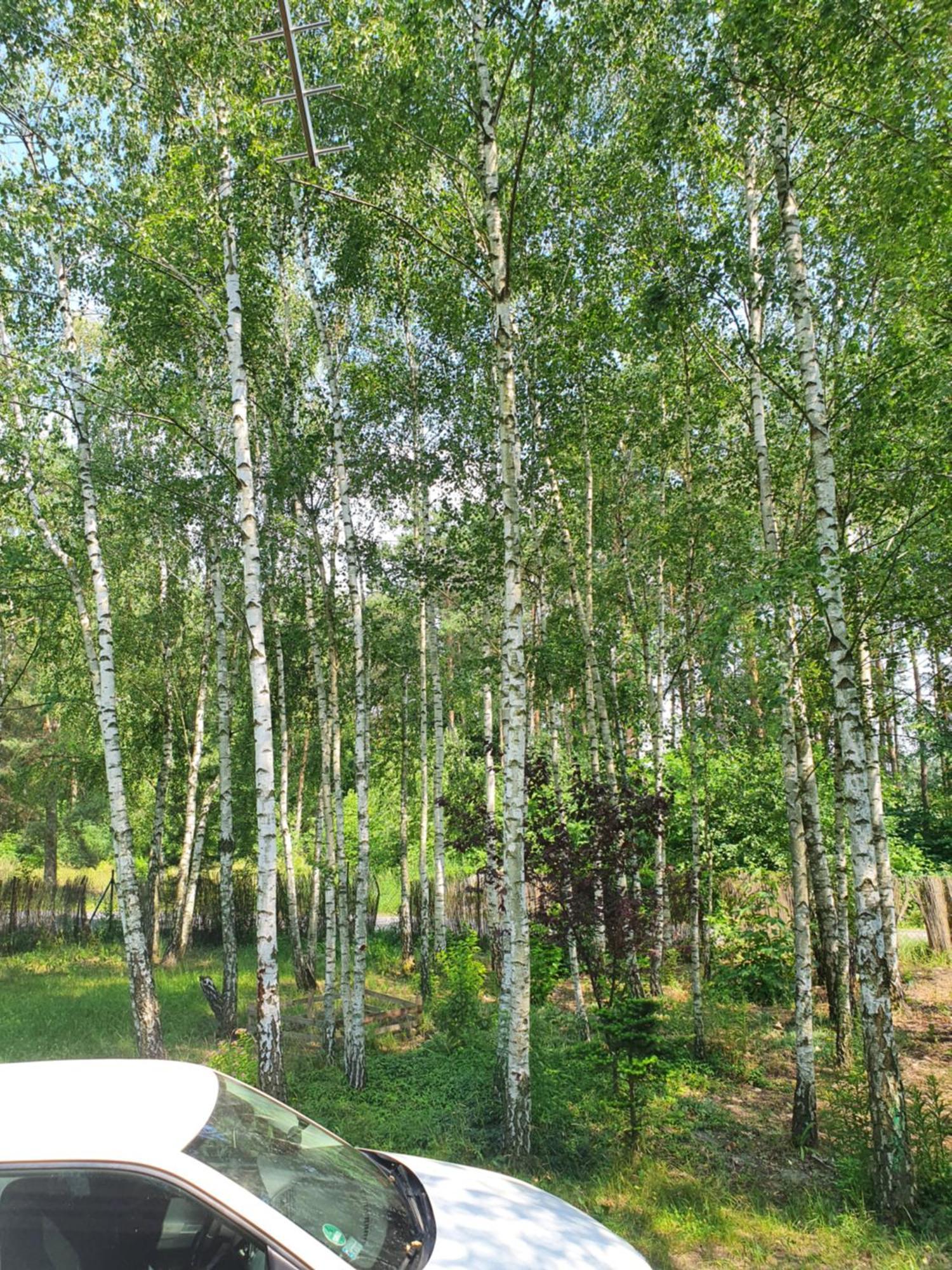 Domek Letniskowy Treby Stare Bagian luar foto