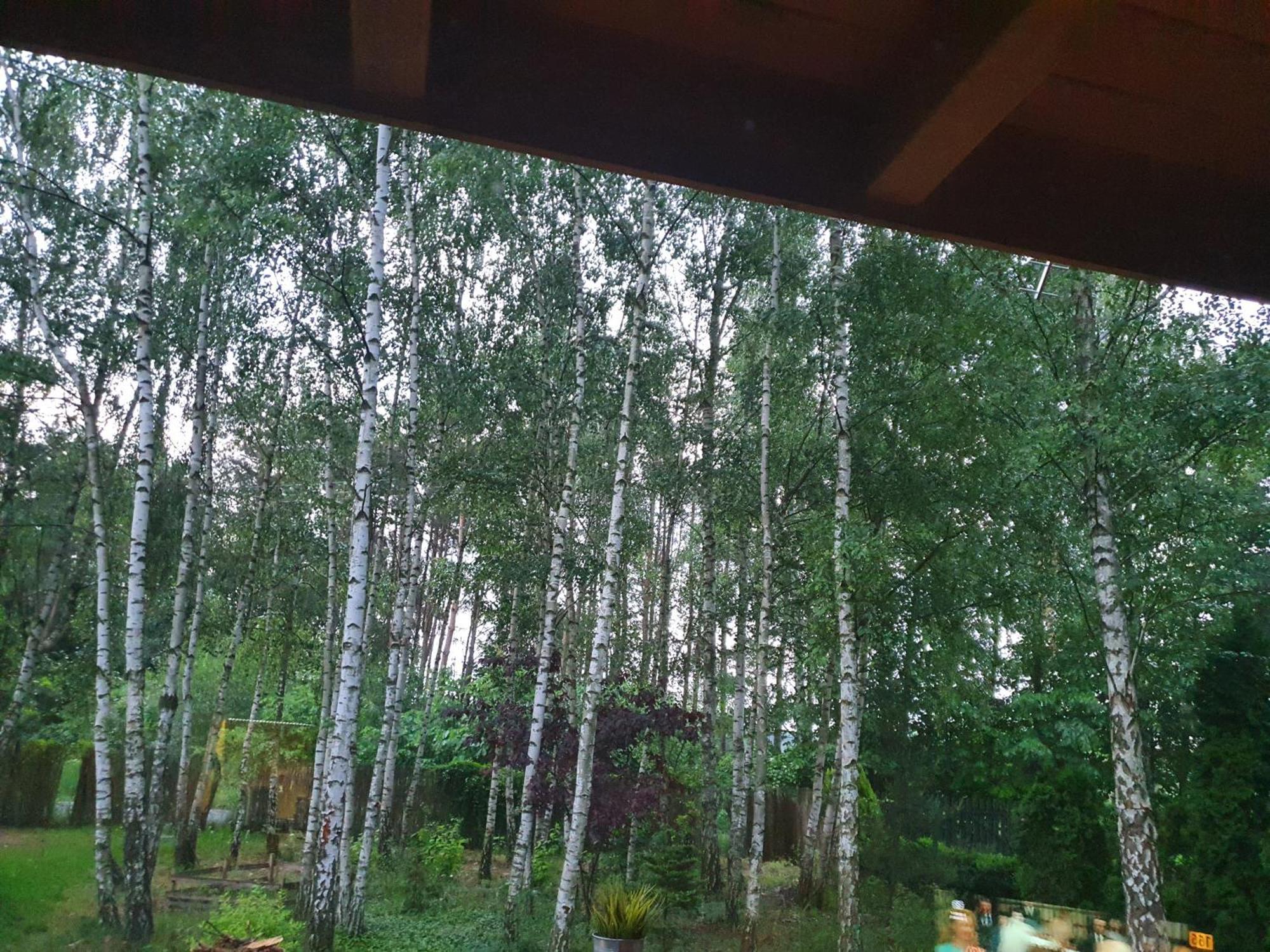 Domek Letniskowy Treby Stare Bagian luar foto